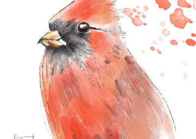 Cardinal By Barbara Wirth