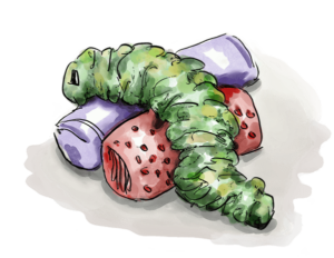 catepillar